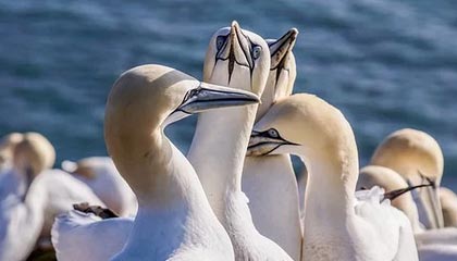 开云-广东男篮分享队内训练片段：小崔的麦考尔1v1私教课